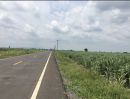 ขายที่ดิน - ขายที่ดินสำหรับทำการเกษตร หรือซื้อไว้ปล่อยเช่า เก็งกำไร