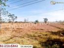 ขายที่ดิน - ที่ดินพรรณานิคม 14 ไร่ 196 ตร.ว. สกลนคร ใกล้วัดป่าแสนสุข