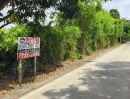 ขายที่ดิน - ขายที่ดินในซอยไทรม้า 23 ถ.รัตนาธิเบศร์ นนทบุรี พื้นที่ 308 ตรว. หน้ากว้าง 25x50 ม. หันหน้าทิศตะวันออก เหมาะสำหรับสร้างที่อยู่อาศัย หรือโกดังสินค้า