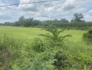ขายที่ดิน - ที่ดิน29ไร่ พื้นที่สีม่วง ถนน ปท.3014 อำเภอลาดหลุมแก้ว ปทุมธานี