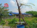 ขายที่ดิน - ที่ดินเปล่า เนื้อที่ 139 ตรว. ซ.คู้บอน 25 แยก 8 ถนนคู้บอน แขวงจรเข้บัว เขตบางกะปิ จ.กรุงเทพมหานคร