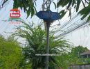 ขายที่ดิน - ที่ดินเปล่า เนื้อที่ 139 ตรว. ซ.คู้บอน 25 แยก 8 ถนนคู้บอน แขวงจรเข้บัว เขตบางกะปิ จ.กรุงเทพมหานคร