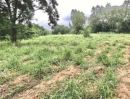 ขายที่ดิน - ขายที่ดินติดถนนมิตรภาพ (หมายเลข 2) เนื้อที่ 51ไร่ ราคาต่ำกว่าตลาด 20% สีคิ้ว นครราชสีมา