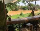 ขายที่ดิน - ขายที่ดินติดแม่น้ำปิงตำบลป่าตันอำเภอเมืองพร้อมโอน