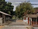 ขายที่ดิน - ขายที่ดินหน้าติดถนนค้าขายได้หลังติดแม่น้ำปิงพร้อมโอน