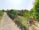 ขายที่ดิน - ขายที่ดิน ติดแม่น้ำท่าจีน สถรพรรณบุรี จีน อ.เดิมบางนางบวช เป็นที่สวน