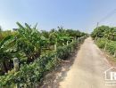 ขายที่ดิน - ขายที่ดิน ติดแม่น้ำท่าจีน สถรพรรณบุรี จีน อ.เดิมบางนางบวช เป็นที่สวน