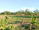 ขายที่ดิน - ที่ดินเปล่า โฉนด 5 ไร่กว่า ติดถนน มีไฟฟ้า อ.นางรอง บุรีรัมย์