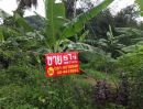 ขายที่ดิน - ที่ดินเกาะยอ สงขลา 3 แปลง, 5 ไร่ 3 งาน 67.6 ตร.วา ติดถนน Land on Yor Island, Songkla