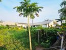 ขายที่ดิน - ขายที่ดินจัดสรร93.6ตรว. ม.ดิสคอฟเวอรี่เพลส รังสิต คลอง7 ถนนเมน เหมาะสร้างบ้าน