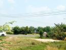 ขายที่ดิน - ขายถูก ที่ดินทำเลดี ติดถนน พร้อมบ้าน อ.นางรอง บุรีรัมย์