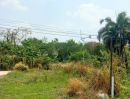 ขายที่ดิน - ขายถูก ที่ดินทำเลดี ติดถนน พร้อมบ้าน อ.นางรอง บุรีรัมย์