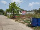 ขายที่ดิน - ขายที่ดิน 100 ตร.วา ม.ออมไทย ถ.บรมราชชนนี นครชัยศรี