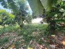 ขายที่ดิน - ขายที่ดิน 300 ตร.ว. ถมแล้ว ซอยสายไหม 26 เขตสายไหม กทม. ตรงข้ามตลาดเอซี สายไหม