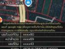 ขายที่ดิน - ขายที่ดินพร้อมบ้าน ตำบลตะโก ทุ่งตะโก ชุมพร ใกล้สวนนายดำ ที่ดินแปลงสวย ติดถนน