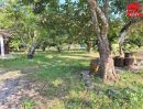 ขายที่ดิน - ขายที่ดินพร้อมบ้าน ตำบลตะโก ทุ่งตะโก ชุมพร ใกล้สวนนายดำ ที่ดินแปลงสวย ติดถนน