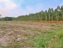 ขายที่ดิน - ขายด่วน! ที่ดิน 19 ไร่ 10 ตร.ว. ทำเลทอง ใกล้นิคมเกตเวย์ และเอเพ็กซ์กรีน อ.แปลงยาว จ.ฉะเชิงเทรา