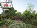 ที่ดิน - ขาย/เช่า ที่ดินถมแล้ว หมู่บ้านฉัตรหลวง เนื้อที่ 120 ตรว. ถนนกาญจนาภิเษก อ.ไทรน้อย จ.นนทบุรี
