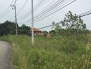 ขายที่ดิน - ขายที่ดิน 9 ไร่ 1 งาน 99 ตรว. ใกล้สวนนงนุช, สนามบินอู่ตะเภา