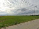 ขายที่ดิน - ขายที่ดิน51ไร่ พื้นที่สีม่วง ถนน นบ.3015 ตำบล ไทรใหญ่ อำเภอไทรน้อย นนทบุรี