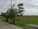 ขายที่ดิน - ขายที่ดิน51ไร่ พื้นที่สีม่วง ถนน นบ.3015 ตำบล ไทรใหญ่ อำเภอไทรน้อย นนทบุรี