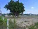 ขายที่ดิน - ขายที่ดิน พัทยา ห้วยใหญ่ ชลบุรี สัตหีบ ระยอง