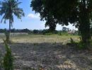 ขายที่ดิน - ขายที่ดิน พัทยา ห้วยใหญ่ ชลบุรี สัตหีบ ระยอง