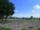 ขายที่ดิน - ขายที่ดิน พัทยา ห้วยใหญ่ ชลบุรี สัตหีบ ระยอง