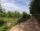 ขายที่ดิน - ขายที่ดินแปลงใหญ่ พร้อมพัฒนา บ่อทอง จ.ชลบุรี