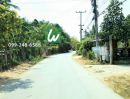 ขายที่ดิน - ขายที่ดิน ท่าวุ้ง ลพบุรี 40 ตรว. เหมาะเป็นที่พักอาศัย