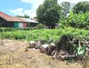 ขายที่ดิน - ขายที่ดิน ท่าวุ้ง ลพบุรี 40 ตรว. เหมาะเป็นที่พักอาศัย