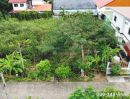 ขายที่ดิน - ขายที่ดิน ซอยเปโตร 5/3 ซ.โรมัน สามพราน นครปฐม 94 ตรว. เหมาะปลูกบ้าน