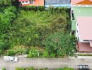ขายที่ดิน - ขายที่ดิน ซอยเปโตร 5/3 ซ.โรมัน สามพราน นครปฐม 94 ตรว. เหมาะปลูกบ้าน