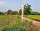 ขายที่ดิน - ขายที่ดิน 6 ไร่ 2 งาน 88 ตร.วา ติดถนนลาดยางดำ วิวทุ่งนา หมู่ 7 บ้านวังพรม วังทอง-วังพิกุล พิษณุโลก