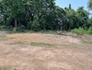 ขายที่ดิน - ขายที่ดิน 6 ไร่ 2 งาน 88 ตร.วา ติดถนนลาดยางดำ วิวทุ่งนา หมู่ 7 บ้านวังพรม วังทอง-วังพิกุล พิษณุโลก