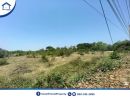 ขายที่ดิน - ขายที่ดินทำเลดี ราคาถูก อยู่ในแหล่งชุมชน ติดถนน 3 ด้าน ใกล้คลองชลประทานและแม่น้ำแม่กลอง ต.พงตึก ท่ามะกา กาญจนบุรี