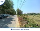 ขายที่ดิน - ขายที่ดินทำเลดี ราคาถูก อยู่ในแหล่งชุมชน ติดถนน 3 ด้าน ใกล้คลองชลประทานและแม่น้ำแม่กลอง ต.พงตึก ท่ามะกา กาญจนบุรี