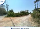 ขายที่ดิน - ขายที่ดินทำเลดี ราคาถูก อยู่ในแหล่งชุมชน ติดถนน 3 ด้าน ใกล้คลองชลประทานและแม่น้ำแม่กลอง ต.พงตึก ท่ามะกา กาญจนบุรี