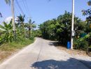 ขายที่ดิน - ขายที่ดินเนื้อที่ 10 ไร่ บ้านหัวอ่าว อ.สามพราน จ.นครปฐม เหมาะสร้างบ้านและทำสวนการเกษตร