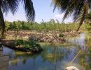 ขายที่ดิน - ขายที่ดินเนื้อที่ 10 ไร่ บ้านหัวอ่าว อ.สามพราน จ.นครปฐม เหมาะสร้างบ้านและทำสวนการเกษตร