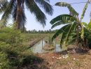 ขายที่ดิน - ขายที่ดินเนื้อที่ 10 ไร่ บ้านหัวอ่าว อ.สามพราน จ.นครปฐม เหมาะสร้างบ้านและทำสวนการเกษตร