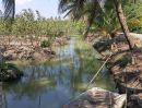 ขายที่ดิน - ขายที่ดินเนื้อที่ 10 ไร่ บ้านหัวอ่าว อ.สามพราน จ.นครปฐม เหมาะสร้างบ้านและทำสวนการเกษตร