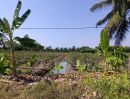 ขายที่ดิน - ขายที่ดินเนื้อที่ 10 ไร่ บ้านหัวอ่าว อ.สามพราน จ.นครปฐม เหมาะสร้างบ้านและทำสวนการเกษตร