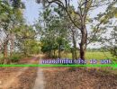 ขายที่ดิน - ขายที่ดินหนองจอก ซ.สุวินทวงศ์ 110 ฮาราจูกุไทยแลนด์ 2ไร่ 22 ตารางวา