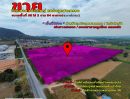 ขายที่ดิน - ขายที่ดินนิคมพัฒนา ขายที่ดินระยอง ขายที่ดินติดถนน36 ขายที่ดินผังม่วง ขายที่ดินใกล้ WHA36