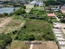 ขายที่ดิน - ขายที่ดินม่วงลาย ซอย9 นิคมพัฒนา ระยอง 23-1-88.9 ไร่