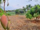 ขายที่ดิน - ลดราคาด่วน ติดทางหลวงติดแม่น้ำปิง เจ้าของขายเองสวนผสม สวนลำไย บ้านหนองผ้าขาว ต.น้ำดิบ อ.ป่าซาง จ.ลำพูน