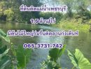 ขายที่ดิน - ที่ดิตติดแม่น้ำเพชรบุรี ที่ดินสวยมากๆๆร่มรื่น เป็นสวนเกษตร