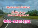 ขายที่ดิน - ที่ดินติดถนนลาดยางใกล้ทะเลหาดเจ้า ที่ดินสวยมากๆๆ น่าจับจองไว้ในอนาคต
