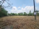 ขายที่ดิน - ขายที่ดิน 2 ไร่ ต.หนองโรง อ.หนองเเค จ.สระบุรี